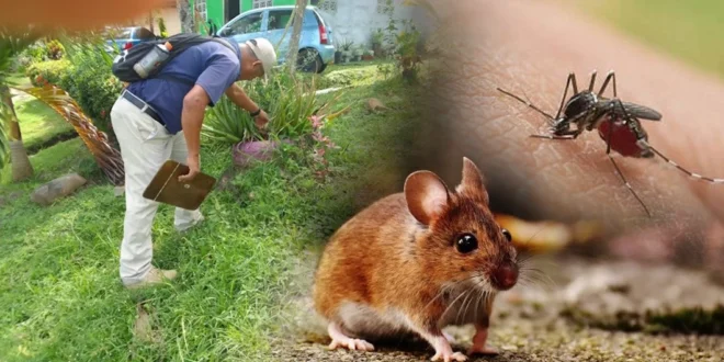 Personal del MINSA realizando inspecciones de salud pública en una comunidad panameña