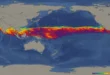 Mapa térmico del Océano Pacífico mostrando el calentamiento anómalo de las aguas ecuatoriales