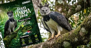 Águila Harpía majestuosa en el Jardín Botánico Summit de Panamá