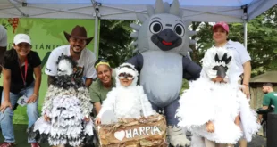 Niños participando en actividades educativas durante el Festi Harpía en el Jardín Botánico Summit