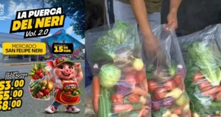 Bolsas de alimentos surtidos en el Mercado San Felipe Neri disponibles para la venta