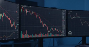 Petróleo: ¿Por qué caen los precios?