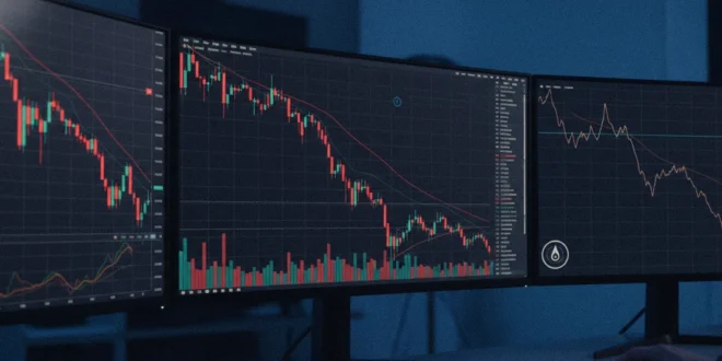 Petróleo: ¿Por qué caen los precios?