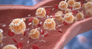Ilustración médica de partículas de apolipoproteína B fluyendo por una arteria humana