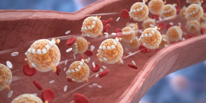 Ilustración médica de partículas de apolipoproteína B fluyendo por una arteria humana