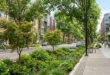 Calle urbana con árboles bien diseñados y vegetación estratificada