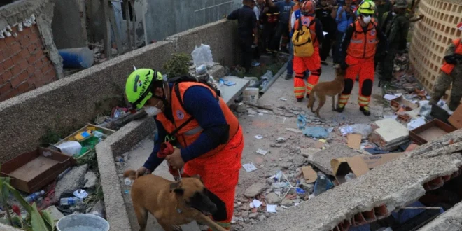 Equipo de bomberos panameños USAR trabajando en zona de desastre en Venezuela