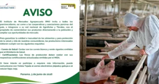 Convocatoria del IMA para porcinocultores panameños