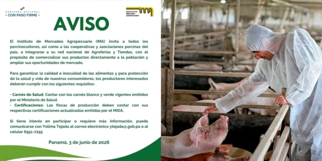Convocatoria del IMA para porcinocultores panameños