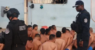 Agentes de seguridad de Panamá realizando requisas y control perimetral durante la Operación Cerrojo