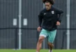 Preparación de la selección de Panamá para el Mundial 2026