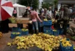 Reformas económicas en Cuba inspiradas en China y Vietnam
