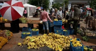 Reformas económicas en Cuba inspiradas en China y Vietnam
