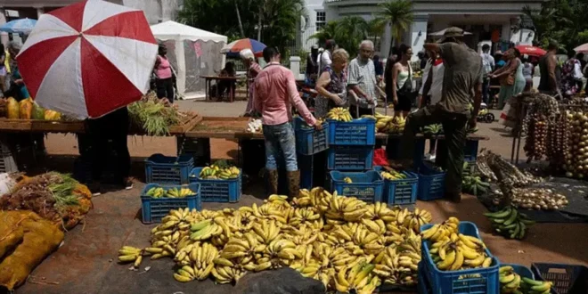 Reformas económicas en Cuba inspiradas en China y Vietnam