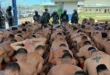 Requisa masiva de seguridad en el Centro Penitenciario de Chiriquí
