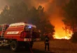 Bosque en llamas bajo un cielo cubierto de humo denso en la región de Gironda, Francia.