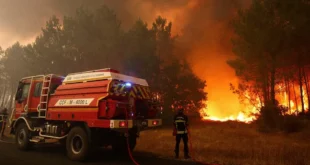 Bosque en llamas bajo un cielo cubierto de humo denso en la región de Gironda, Francia.