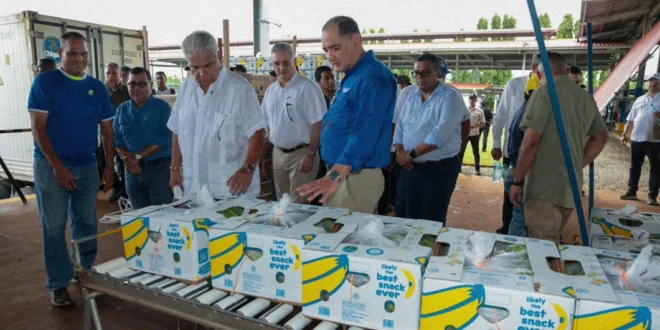 Presidente Mulino recorriendo plantaciones bananeras en Bocas del Toro junto a directivos de Chiquita