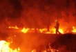 Bosque en llamas bajo una densa columna de humo provocada por tormentas de fuego