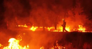 Bosque en llamas bajo una densa columna de humo provocada por tormentas de fuego