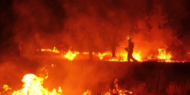 Bosque en llamas bajo una densa columna de humo provocada por tormentas de fuego
