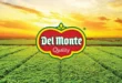 Del Monte y Puerto Barú en Panamá
