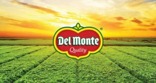 Del Monte y Puerto Barú en Panamá