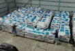 Exportación y procesamiento industrial de pescado en la Zona Franca de Chepo, Panamá