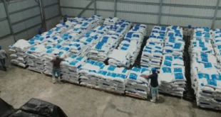 Exportación y procesamiento industrial de pescado en la Zona Franca de Chepo, Panamá