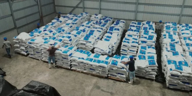 Exportación y procesamiento industrial de pescado en la Zona Franca de Chepo, Panamá