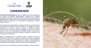 Detección de casos de malaria en los alrededores de Merca Panamá por parte del Minsa