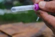Reducción de casos de dengue y acciones del Minsa