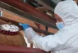 Primer caso humano de virus Shamonda